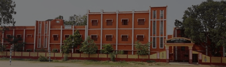jamini-roy-college